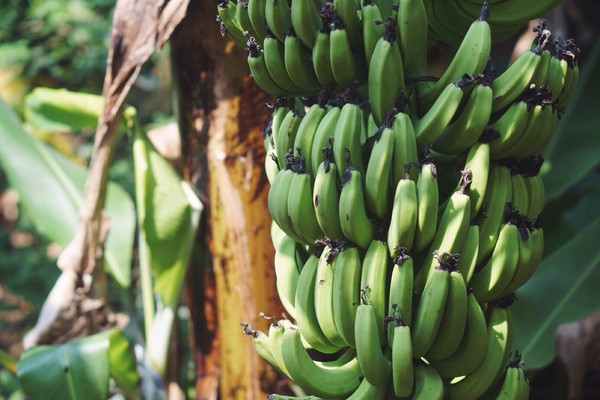 �������������ލu���Σ��V������������