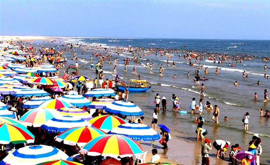 �����������V������������