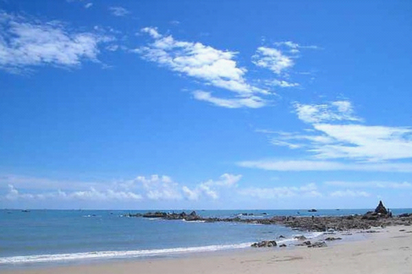 �����D�����V������������