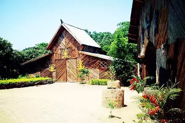 �����D�����V������������