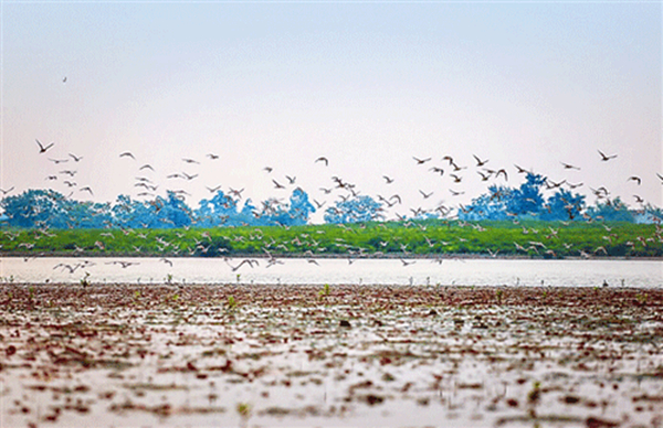 ���������Ǎu���V������������