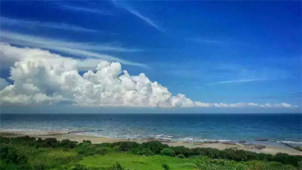 ���ލu�������V������������