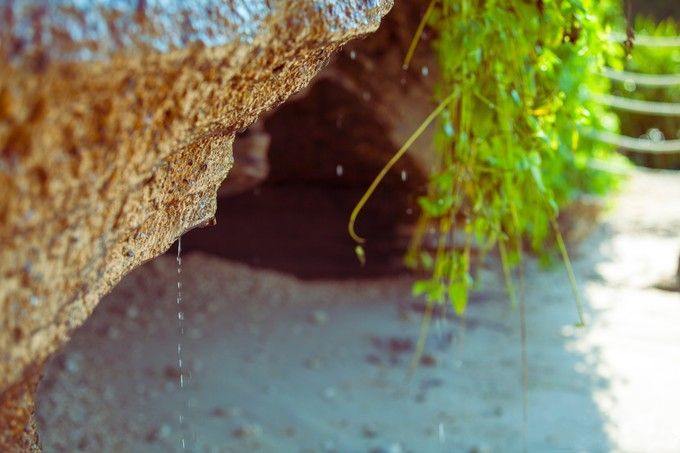 ���ލu�������V������������