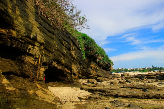 ���ލu�������V������������