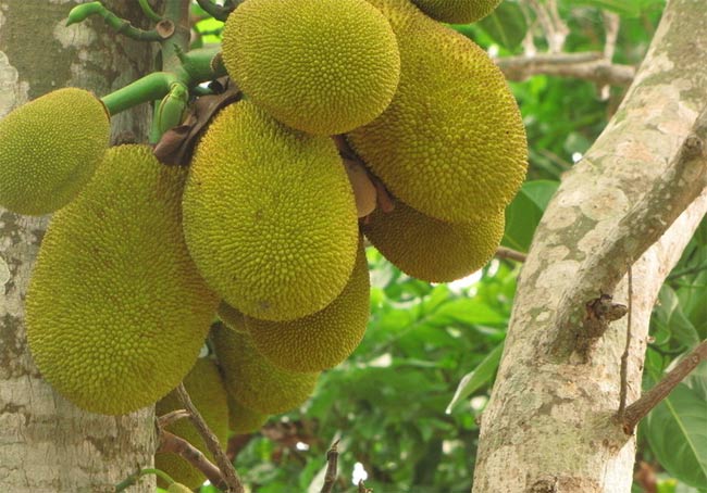 ���ލu�����}�����V������������