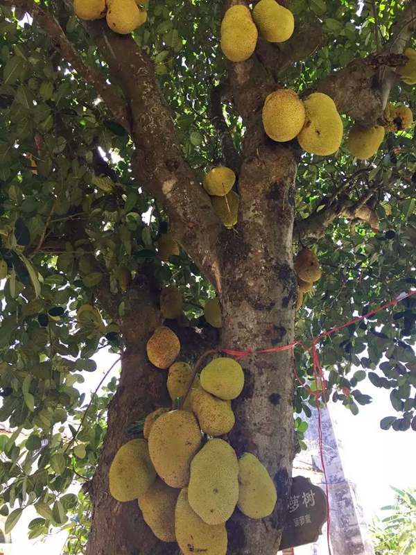 ���ލu�����}�����V������������