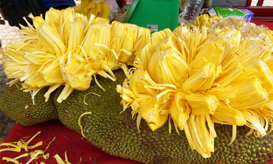 ���ލu�����}�����V������������