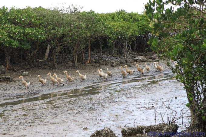 ���������������V������������