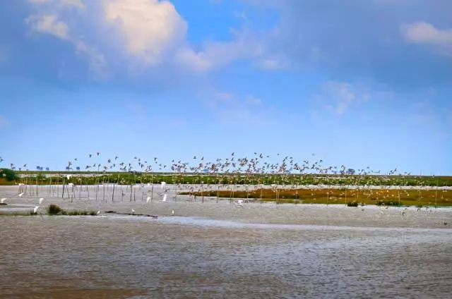 �V������������