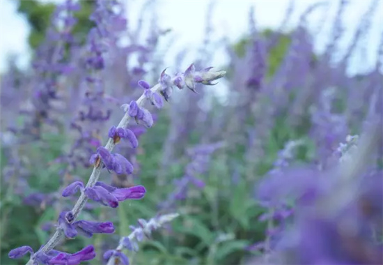 �������h(hu��n)�����V������������