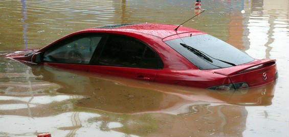 �������_�L���V������������