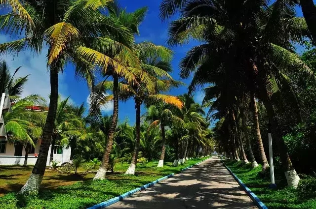 �u�Z�����ލu���V������������