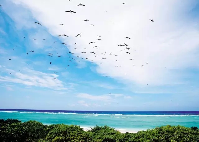 �u�Z�����ލu���V������������