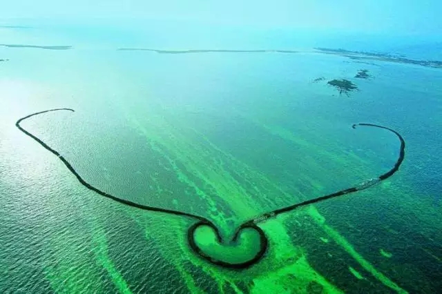 �u�Z�����ލu���V������������