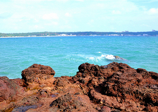 ���������ލu�������V������������