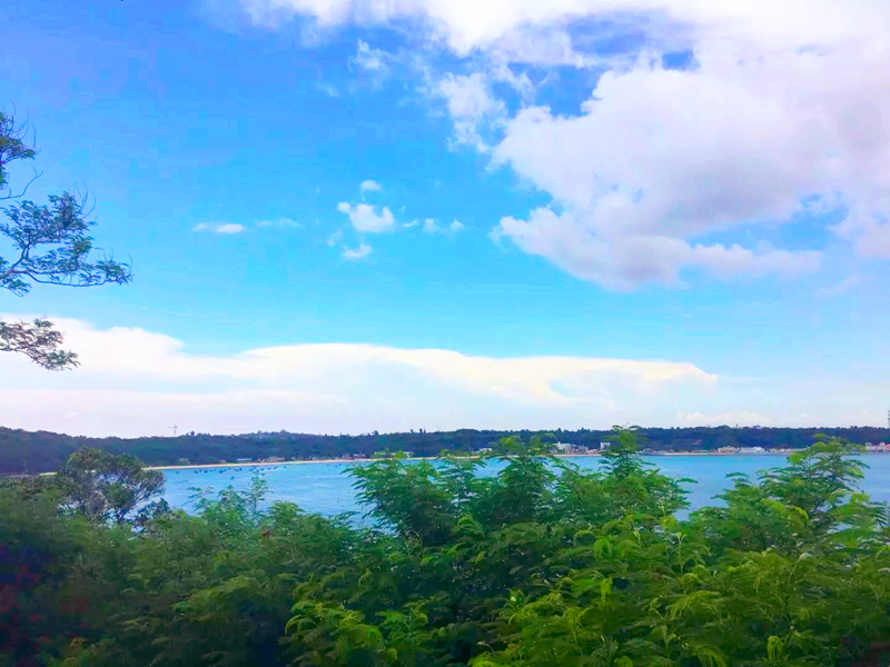 ���������ލu�������V������������