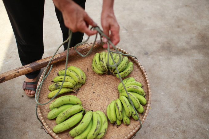 ���������ލu�������V������������