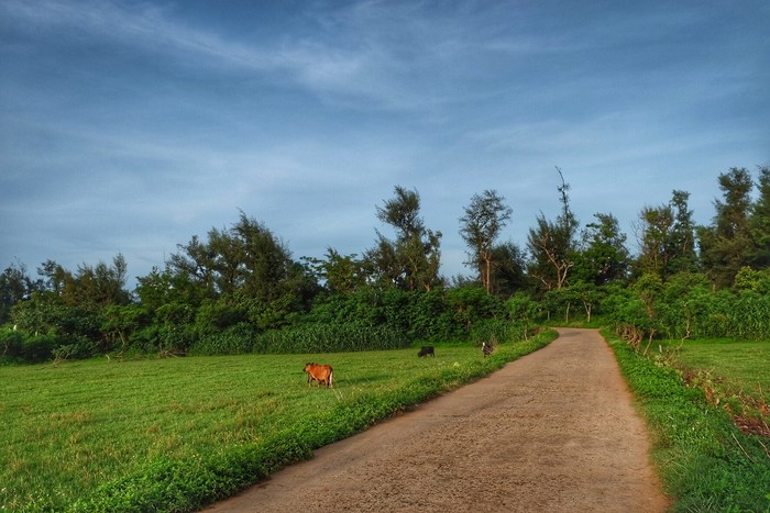 ���������ލu���Σ��V������������