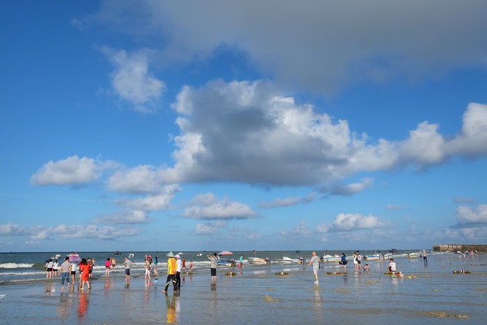 �����y�����V������������