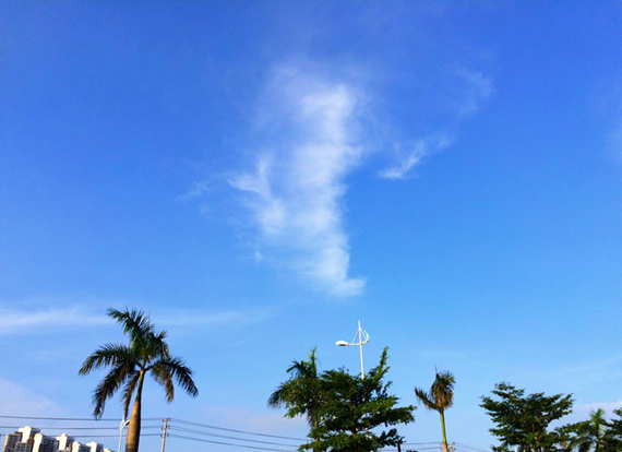 �������V������������