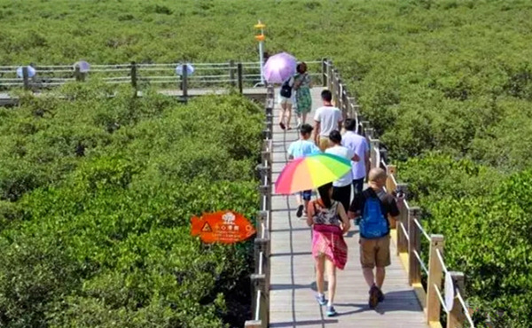 ������������V������������