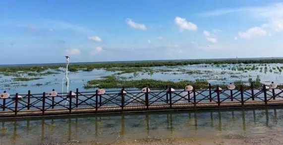 ������������V������������