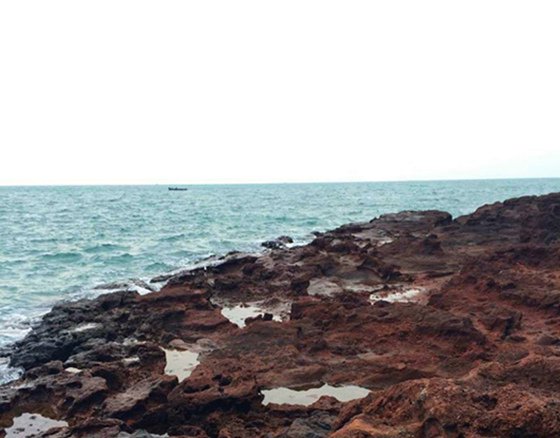 ���ލu���ι������V������������