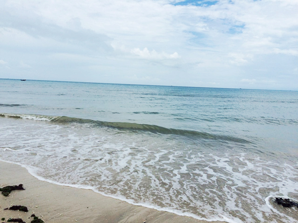 ���ލu���ι������V������������