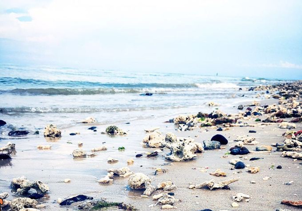 ���ލu���ι��������ލu�������V������������