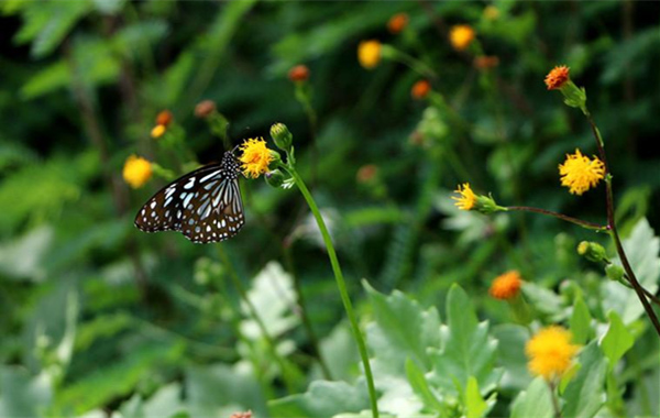 �V�����������������ލu����