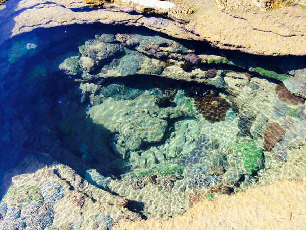 �V�����������������ލu���ι���