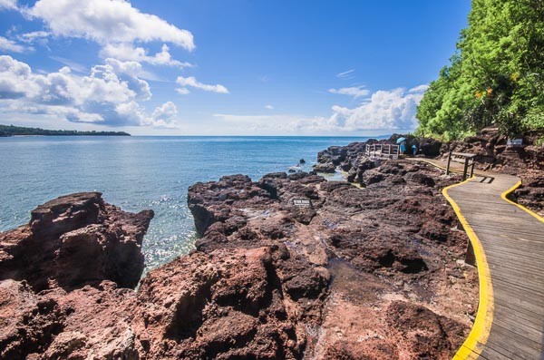 �V�����������������ލu����