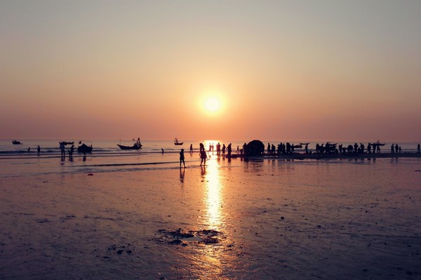 �V�����������������ލu����