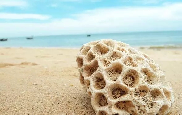 �V�����������������ލu����