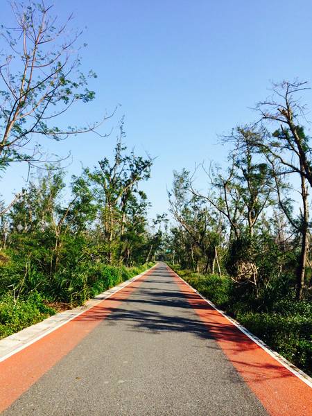 �V�����������������ލu���ι���