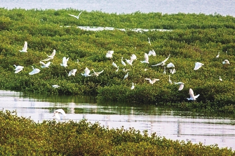 �V���������������t��������������