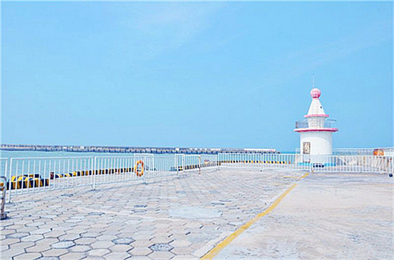 �V�����������������ލu����