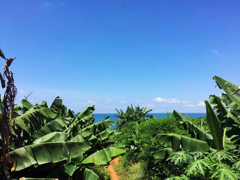 �V�����������������ލu����