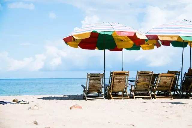 �V�����������������ލu����