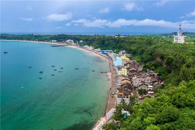 �V�����������������ލu����