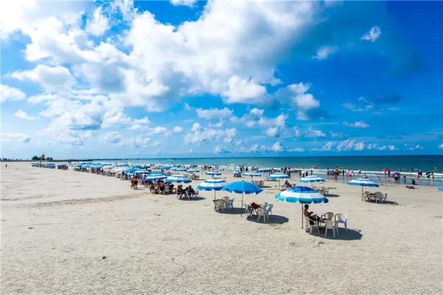 �V�������������������y�������Ρ��t�ڰ�