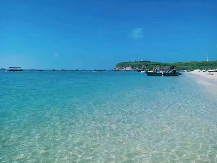 �V�����������������ލu