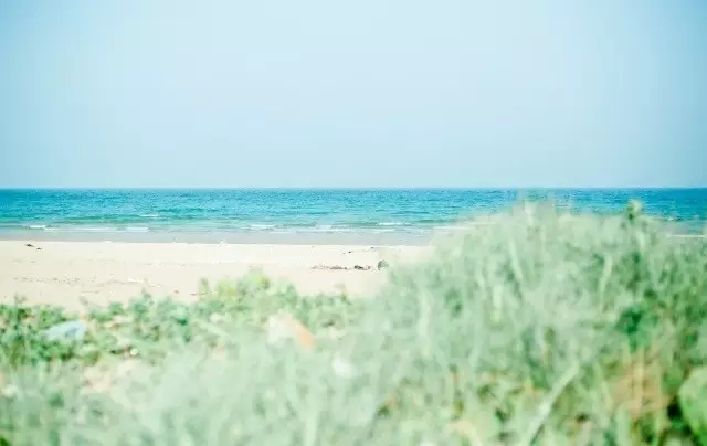 �V�����������������ލu