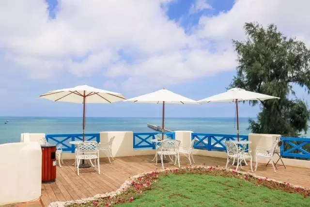 �V�����������������ލu