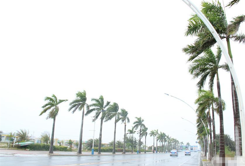 �V�����������磬�_(t��i)�L(f��ng)