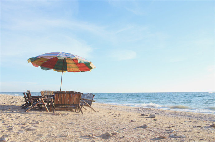 �V�����������������ލu����