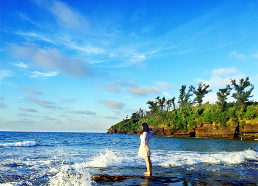 �V�����������������ލu����