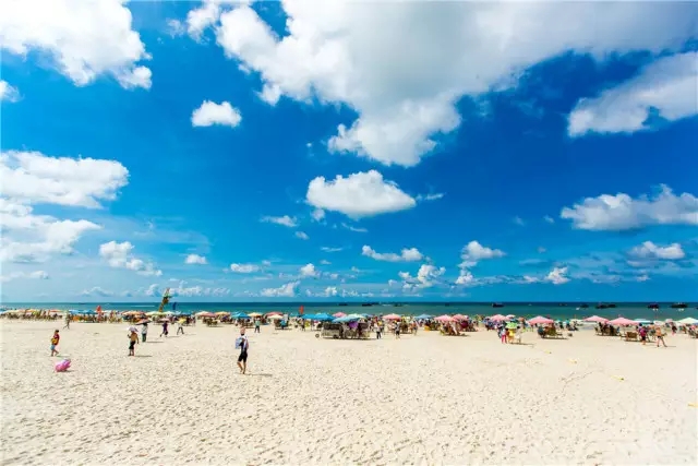 �V�����������������B�B(y��ng)������������