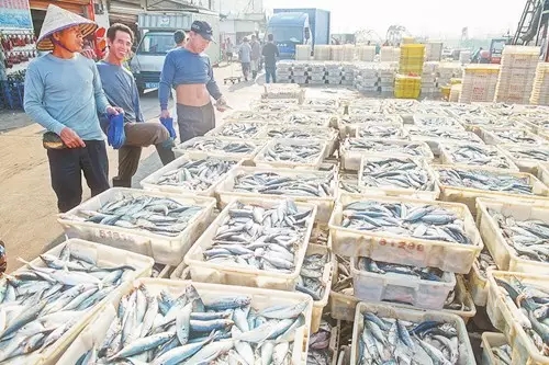 �V�����������������r