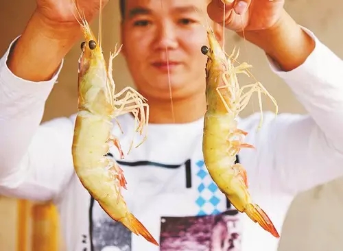 �V�����������������r